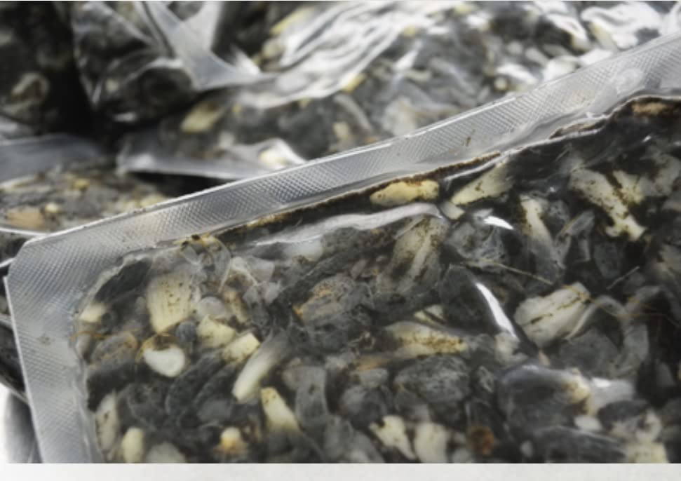 Endotzi | Huitlacoche - Corn Mushrooms Authentic Product Of Mexico | 17Oz