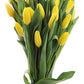 KaBloom Flowers - Valentine Collection - PREMIUM 20 Yellow Tulips Without Vase - Farm Fresh Cut Flowers. Gift for Birthday, Anni