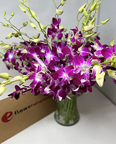 Fresh Cut Purple Orchid With Custom Printed Ribbon (30 Stems With Vase)