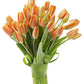 KaBloom PRIME OVERNIGHT DELIVERY - WEDDING COLLECTION - PREMIUM 30 Orange T ulips - Wholesale Fresh Flowers I Gift for Birthday,