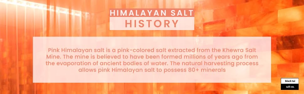 Set Of 6-4''X8''X2'' Himalayan Salt Bricks Exclusively By The Black Tai Salt Co.