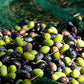 Letizia Sicilian Extra Virgin Olive Oil Dop 500 Ml