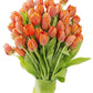 KaBloom Flowers - Mother's Day Collection - PREMIUM 50 Orange Tulips - Wholesale Fresh Flowers I Gift for Birthday, Sympathy, An