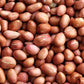 Raw Spanish Peanuts - 5 lb. Box - Treasured Harvest Brand