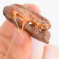 Turtles Original Pecan Christmas Gift Box, 4.6 Oz