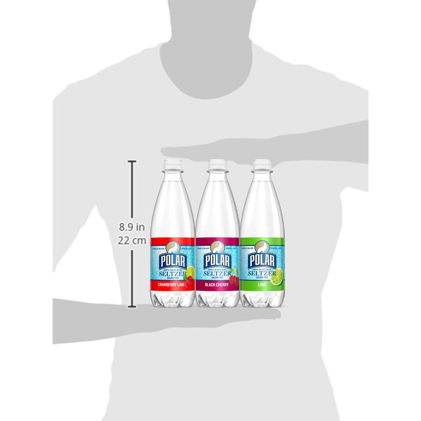 Polar Beverages Seltzer Sparkling Water Variety Pack Flavored Seltzer Drinking Water 12 X 20 Ounce