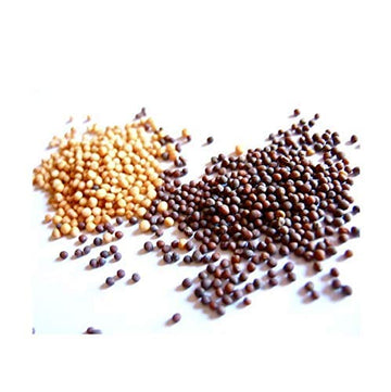 Yellow And Brown Mustard Seeds, Add Aroma, Flavor, And Seasoning To Every Dish, Kosher Certified, 10 Oz Each Total Of 20 Oz (Yel