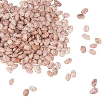 Pinto Beans Dry Bulk 20 Lbs (Bulk In Box) Non-Gmo Dove Creek, Colorado, Usa, Sombrero Frijol Beans