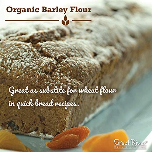 Great River Organic Milling Organic Specialty Barley Flour, 25 lbs, Pack of 1