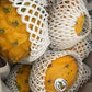 Kejora Fresh Yellow Dragon Fruit (6 Pcs)
