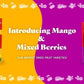 Sun-Maid Dried Mangos - 15 Oz Resealable Bag - Dried Mango Slices - Dried Fruit Snack For Lunches, Snacks, And Natural Sweeteners (Pack Of 1)