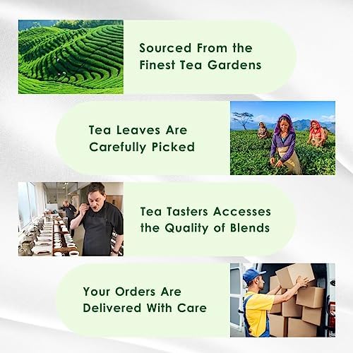 Tea Leaf & Co. Turmeric Tulsi Green Tea - Herbal Blend with Peppermint - 100 Teabags (7.055oz/200gm) - Low Caffeine & Vegan