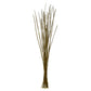 36-40 Lt Basil Caba Spines 24oz