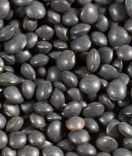 Shiloh Farms - Organic Petite Black Lentils 16 Oz - 2 Pack