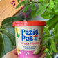 Petit Pot Organic Tapioca Pudding - 14 oz - Made with Milk and Cream