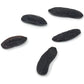 5 Premium Tonka Beans - Whole Natural Tonka Beans - 100% Raw & Pure Tonquin, Strong Fragrance (Dipteryx Odorata Tonkin Pods). Ed