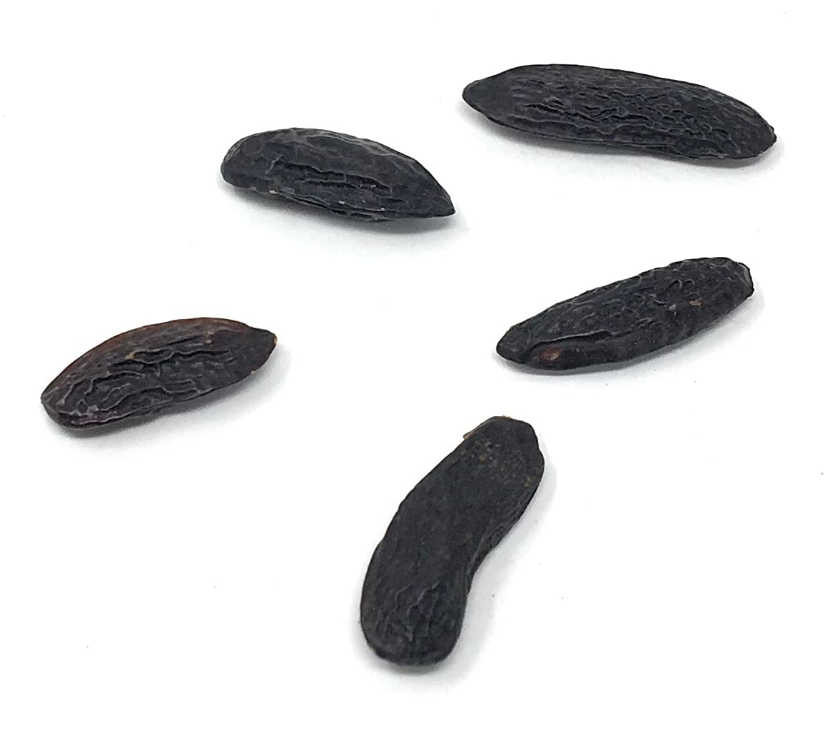 5 Premium Tonka Beans - Whole Natural Tonka Beans - 100% Raw & Pure Tonquin, Strong Fragrance (Dipteryx Odorata Tonkin Pods). Ed