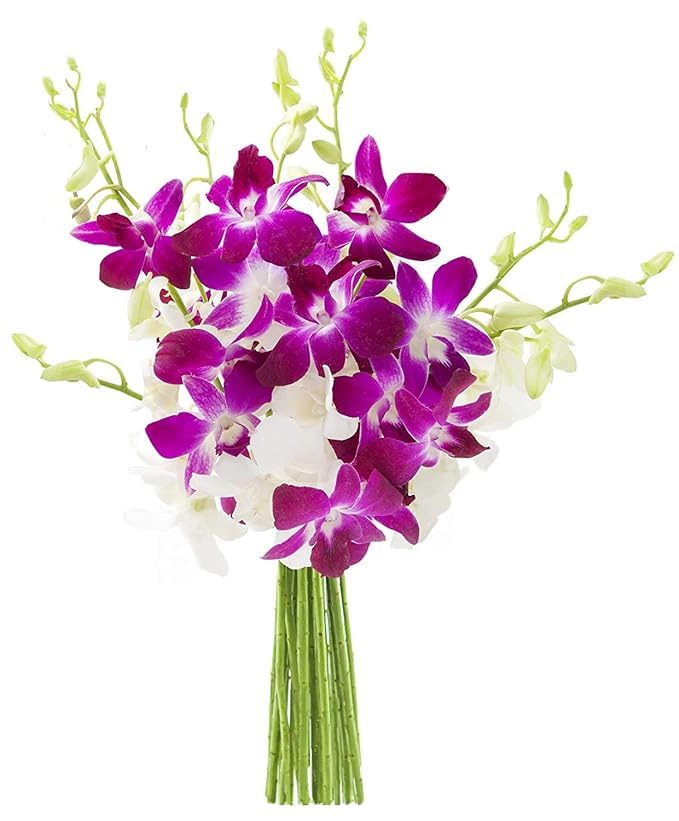KaBloom Flowers - Mother's Day Collection - 5 Purple and 5 White Orchid without vase, Gift for Birthday, Sympathy, Anniversary, 