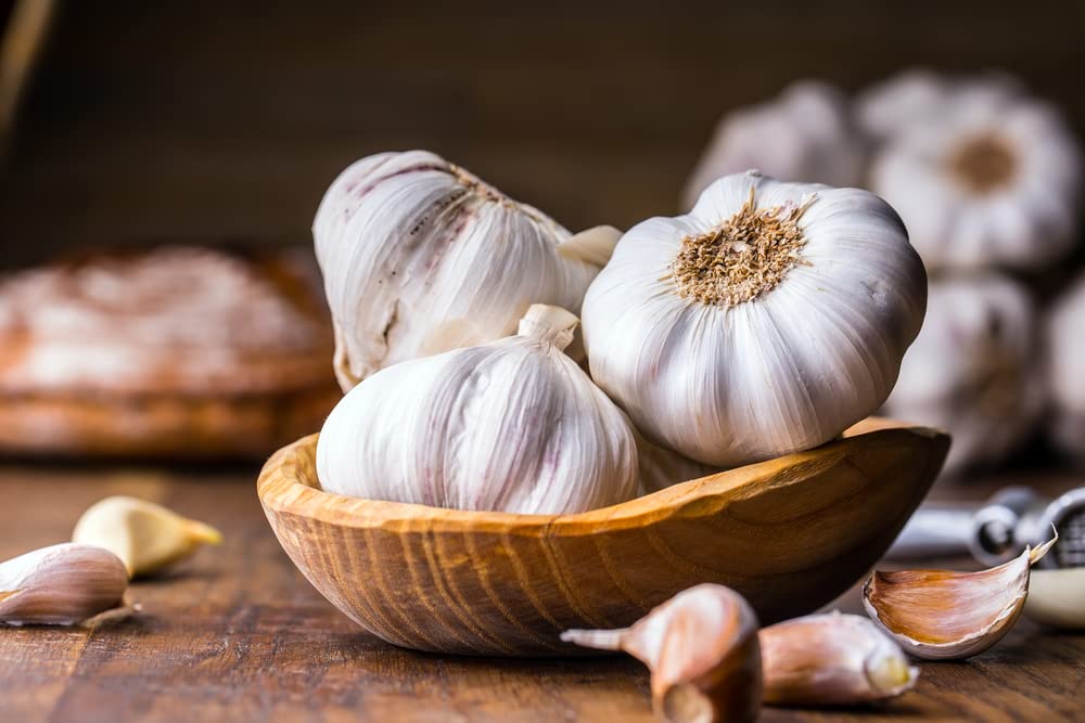 Fresh White Garlic Cloves For Planting - Easy To Grow Your Own Food (20 Cloves)