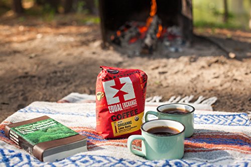 Equal Exchange Organic Ethiopian Grind 12 Oz