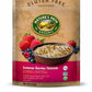 Natures Path Granola Gf Berry