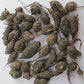 Foodherbs Nagarmotha/Koraikilangu/Cyperus Rotundus Powder (200 Gm/0.44 Lbs)