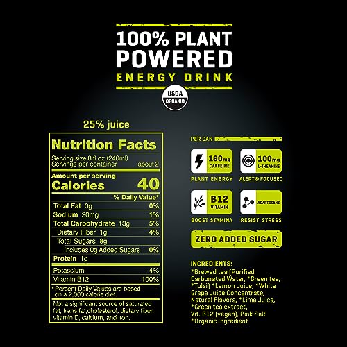 RIOT Clean Energy Drink  Citrus Lime  Zero Artificial Anything  No Sucralose  Made with Real Fruit  No Sugar Added  Natural Healthy Energy Stamina & Focus  16 Fl Oz (Pack of 12)