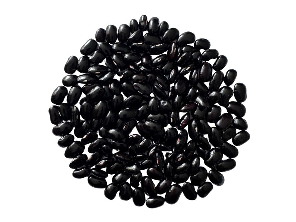 Black Ayocote Beans (Frijol Ayocote Negro)  Top-Grade Heirloom - Whole Dried - Bulk 10 Lb - Product Of Mexico.