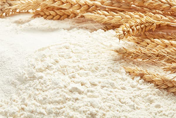 Unpretentious High Gluten Flour, 1 Gallon Bucket, Artisan Bread, Bagels, Pizza