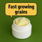 Milk Kefir Grains, Fresh Live Probiotic Culture for Homemade Kefir