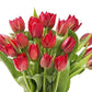 Kabloom Flowers - Bloomia Collection - 15 Red Tulips Without Vase - Gift For Birthday, Sympathy, Anniversary, Get Well, Thank Yo