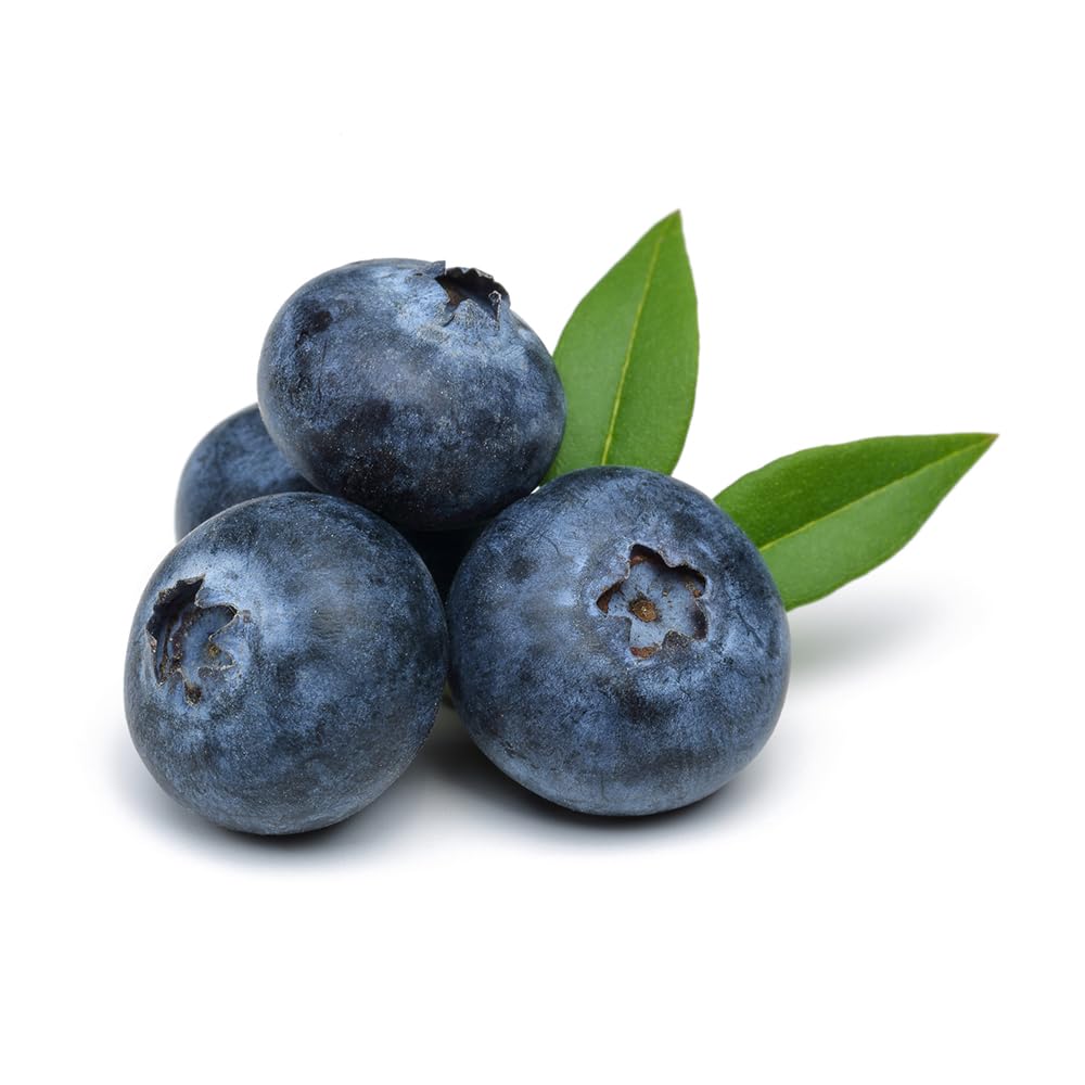 Olivenation Blackberry Extract 4 Oz.
