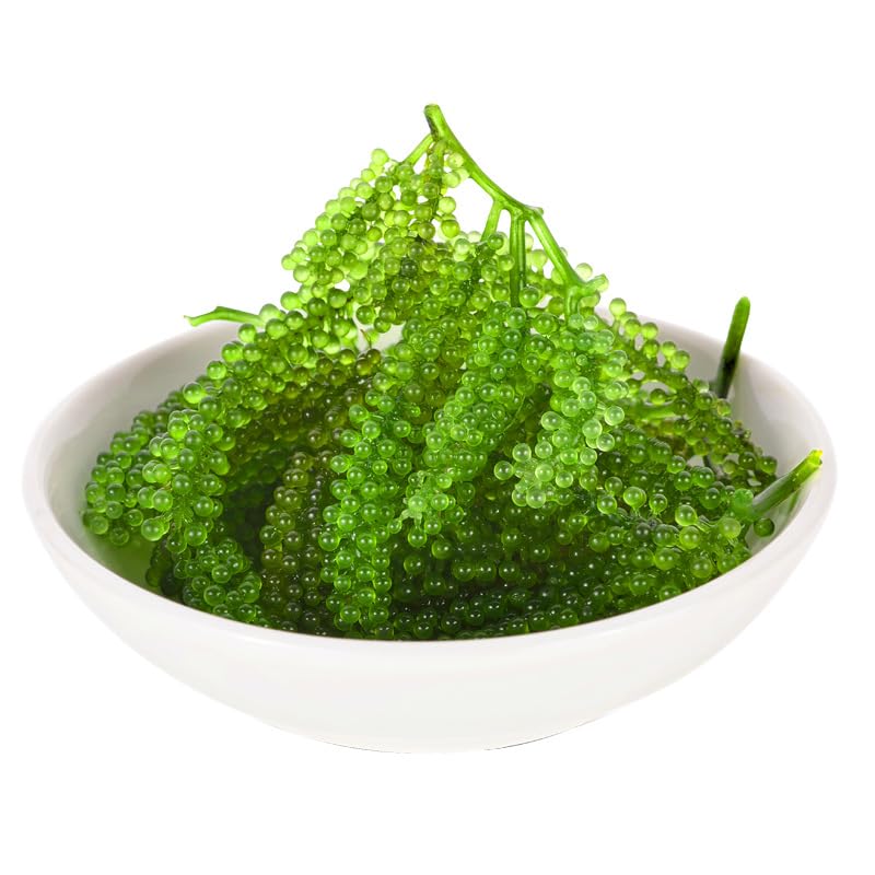 ZAYEMAIBUHAO Sea Grapes - Organic Umibudo Seaweed, 100 grams, Includes Dipping Sauces, Natural Gift from the Sea