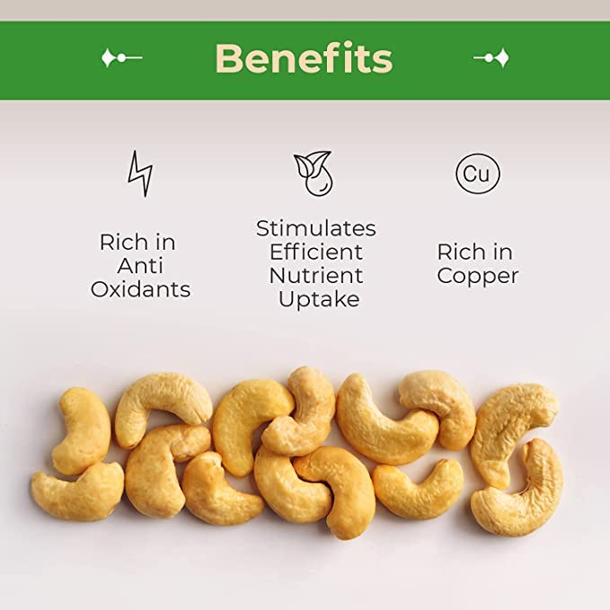 Sincerely Nuts – Whole Cashews Roasted And Salted | One Lb. Bag | Deluxe Kosher Snack Food | Healthy Source Of Protein, Vitamin & Mineral Nutritional Content | Gourmet Quality Vegan Cashew Nut