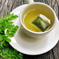 MOGO Organic Moringa Tea Bags - 100 Count, 100% Pure Dried Moringa Leaves, Antioxidant-Rich Herbal Tea