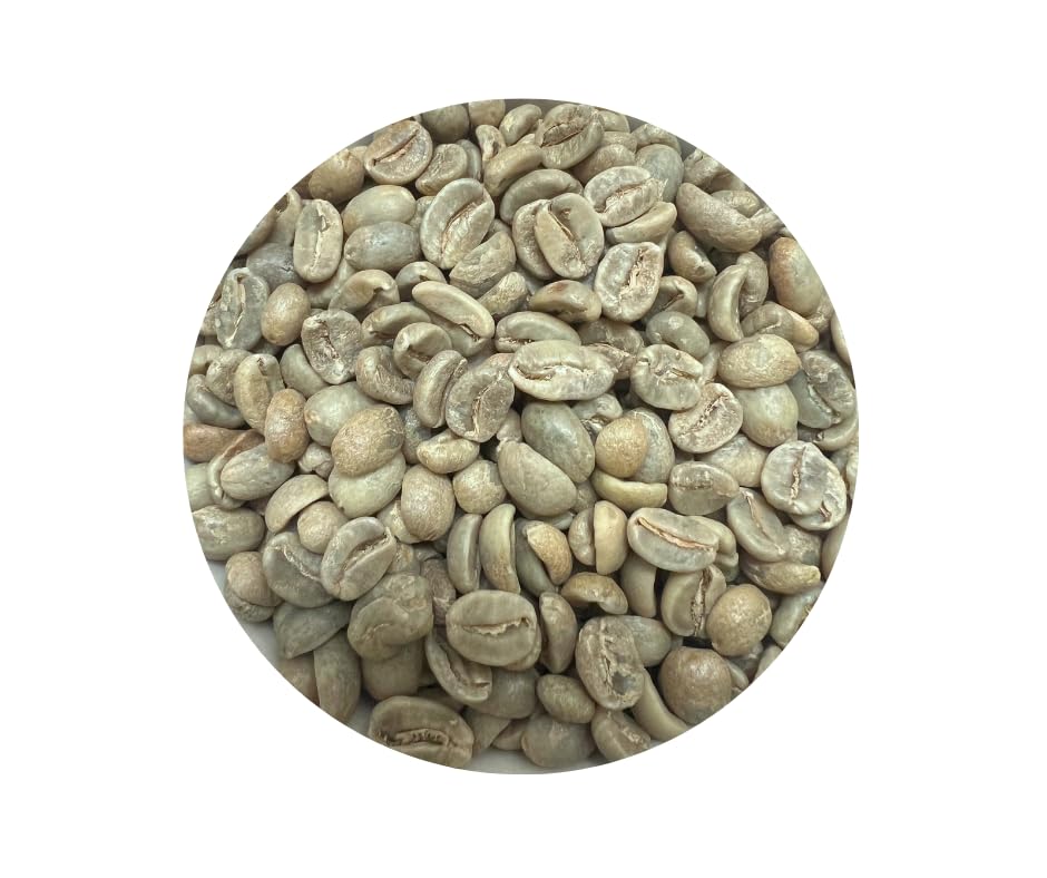 Roastika - Premium Green Coffee Bean - Unroasted Coffee Bean - 20lb Single Origin - Mexico Chiapas HG EP
