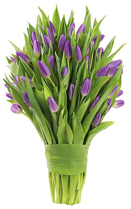 Kabloom Flowers -Valentine'S Day Collection - 30 Purple Tulips, Gift For Birthday, Sympathy, Anniversary, Get Well, Thank You, V