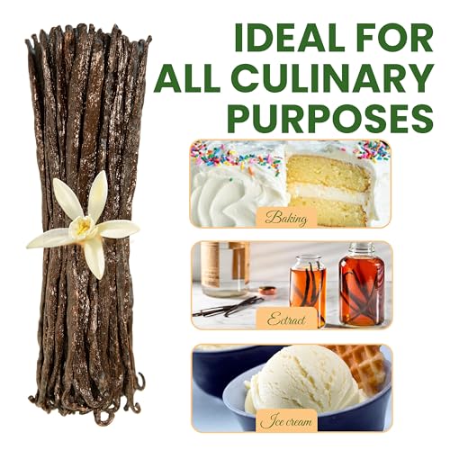 Aloka Vanilla 16oz Organic Madagascar Vanilla Beans - Grade A spirit-inspired flavor Pods for Baking & Cooking, Non-GMO, Vegan