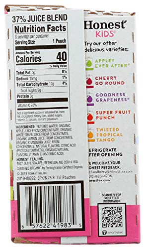 Honest Kids Organic Berry Good Lemonade, 6.76 Fl Oz (Pack of 8)