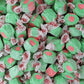 QUEEN CITY CANDY CAVE Watermelon Salt Water Taffy - Assorted Flavors - Bulk Candy - 1 Pound - Individually Wrapped