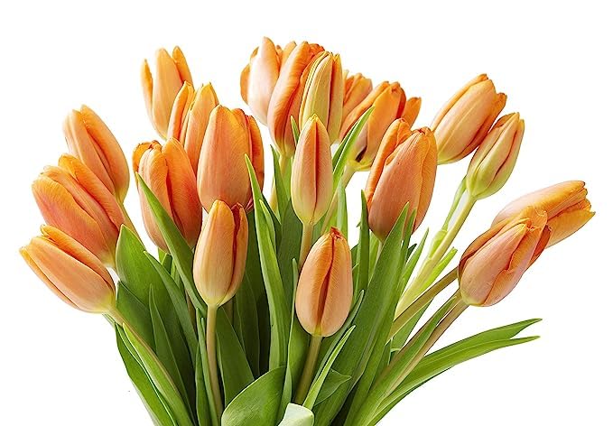Kabloom Flowers - Mother'S Day Collection - Bouquet Of 10 Orange Tulips Without Vase. Gift For Birthday, Sympathy, Anniversary,