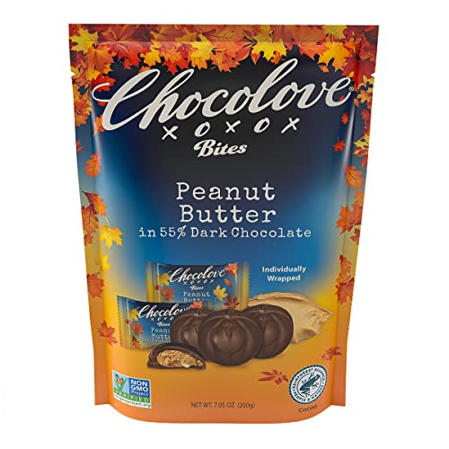 CHOCOLOVE Dark Chocolate Peanut Butter Bites  7.05 OZ