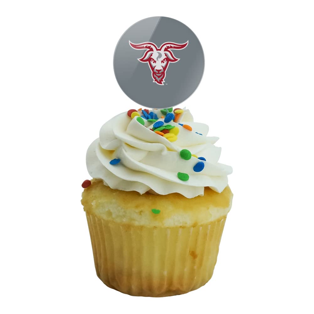 Wpi Secondary Logo Cupcake Picks Toppers Decoration Set Of 6