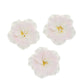 Global Sugar Art Azalea 1.75 Inch Sugar Cake Flowers Light Pink with Wire and Stamen, 10 Count by Chef Alan Tetreault