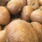 Kejora Fresh Young Jicama 5 Lb