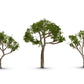 Woodland Scenics Tr3525 Gum Tree 2 1/2'' - 3 1/2'' (3)