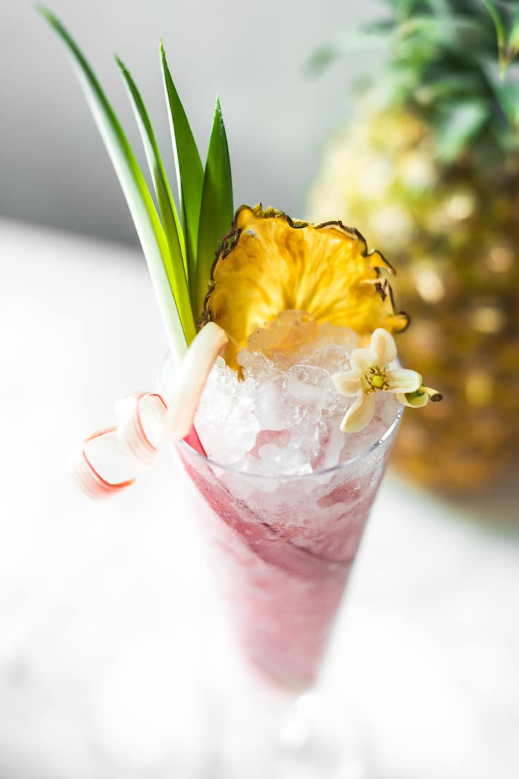 Small Batch Cocktail Garnish Co. Dehydrated Pineapple Slices for Cocktails - 14 Slices