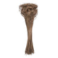 Vickerman Natural Botanicals 24'' Curly Ting Ting Natural. 10 Bunches Per Pack (100 Grams Open Bunch).