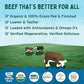 Verde Farms, Ground Beef 85% Lean/15% Fat, Organic, Grass-Fed, 1 lb