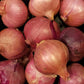 Fresh Shallots 2 Lbs. Produce Of Usa